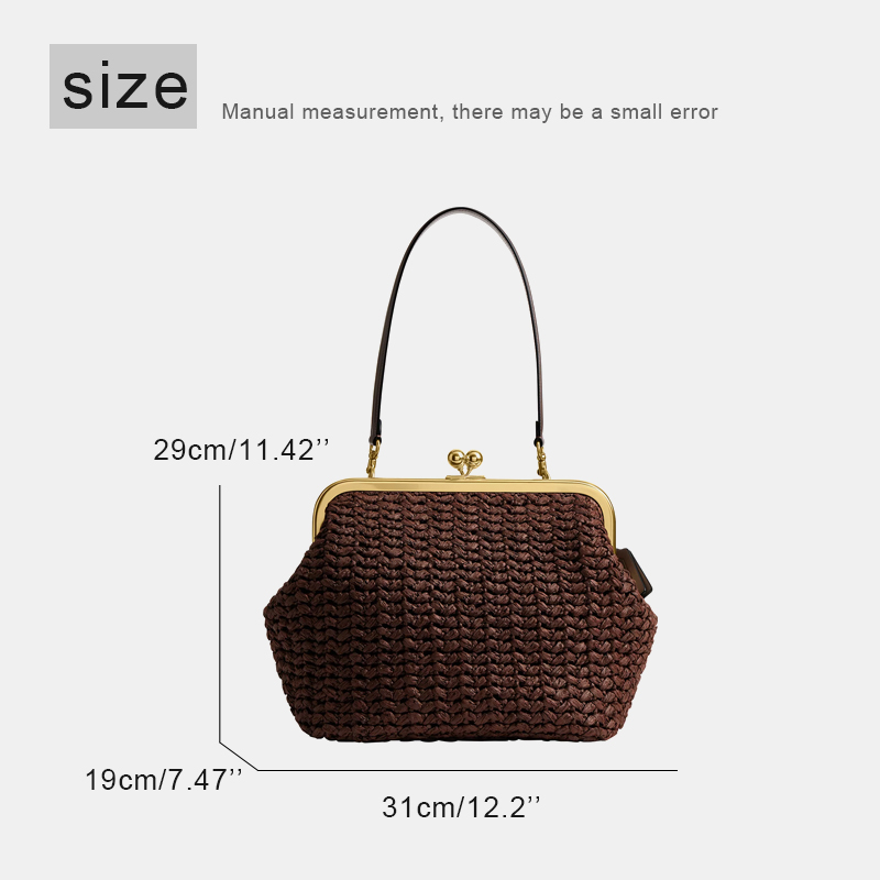 Hand-Woven Kisslock Frame Shou - Luxury Bags 2026 review and price