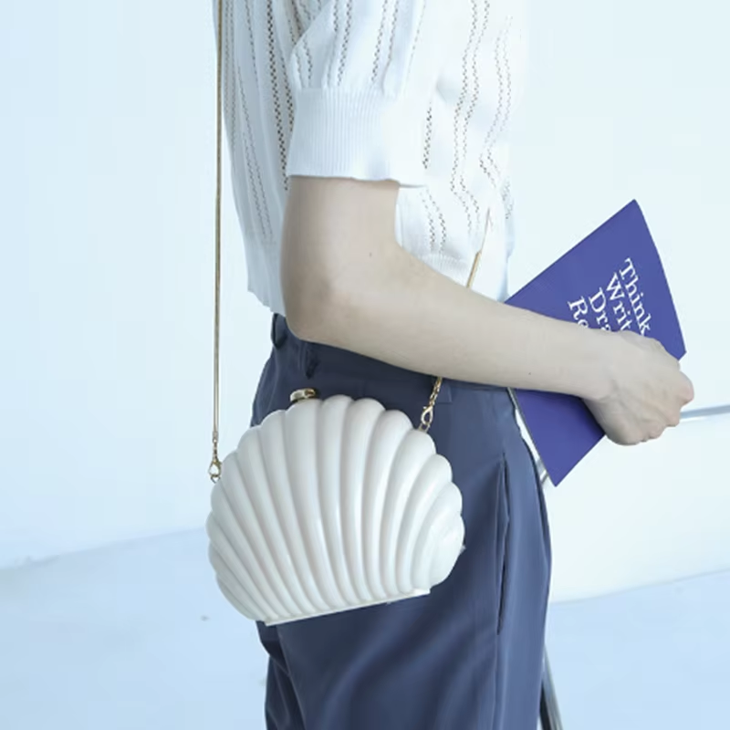 Lady Mini Shell Bag Acrylic Hi - Luxury Bags Made review and price